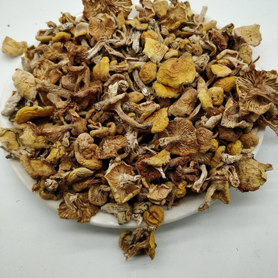东北林间珍馐 野生小黄蘑与松树油蘑的干货魅力，炖出小鸡蘑菇汤的经典味道