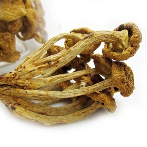鲜烹烹 特级滑子菇干货 滑子蘑滑菇 煲汤美味 菌菇产地直销 250g-食品-亚马逊中国